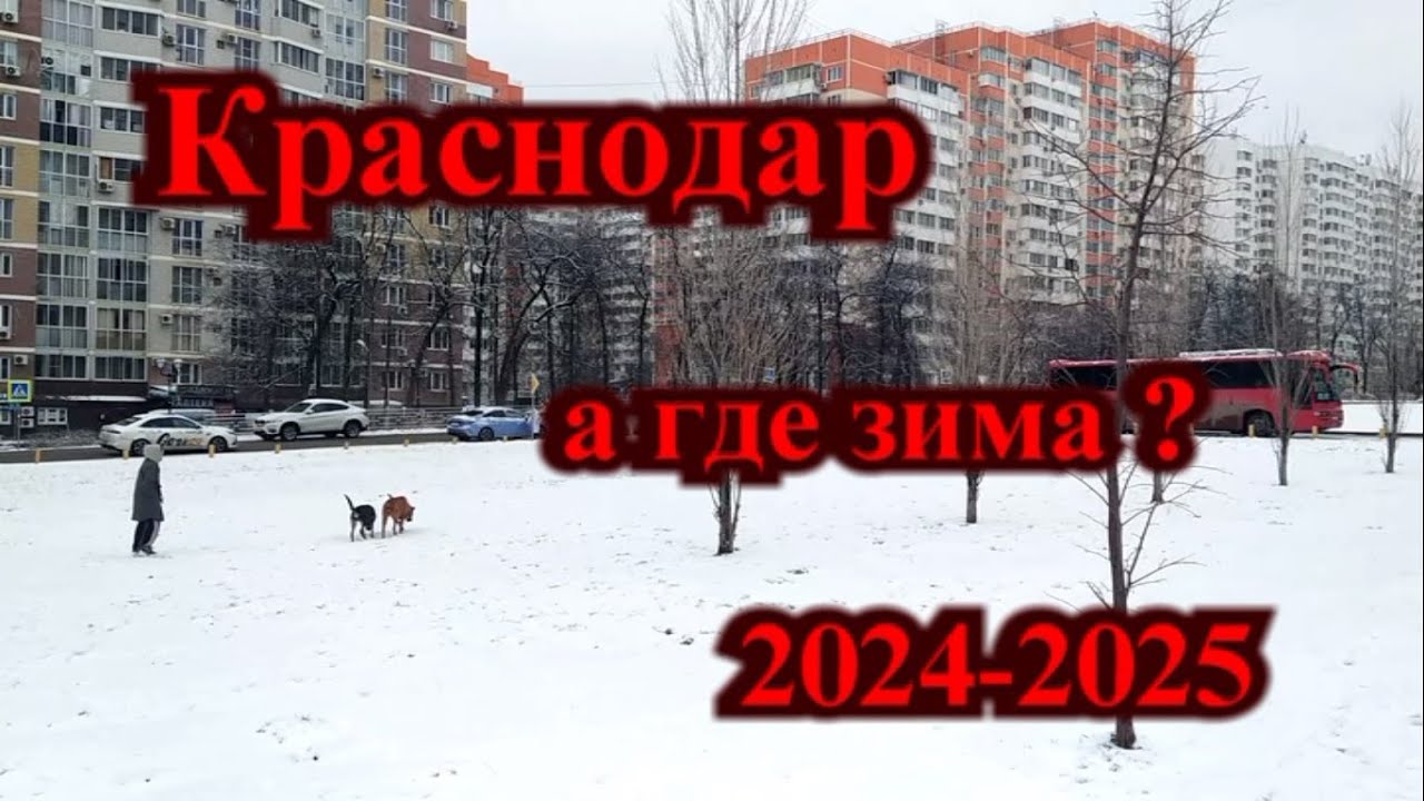 Погода краснодар на 10 дней 2025 год гисметео