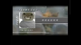 Hachimi Hachimi Mambo Meme Ở đây có nhạc cute #2
