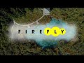 Welcome to firefly wellness music