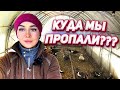 Наняли работника. Новый год, Подарки и приближающийся отёл! | Молодая Ферма