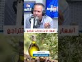 أسعار الزيت مازالت باش تتراجع