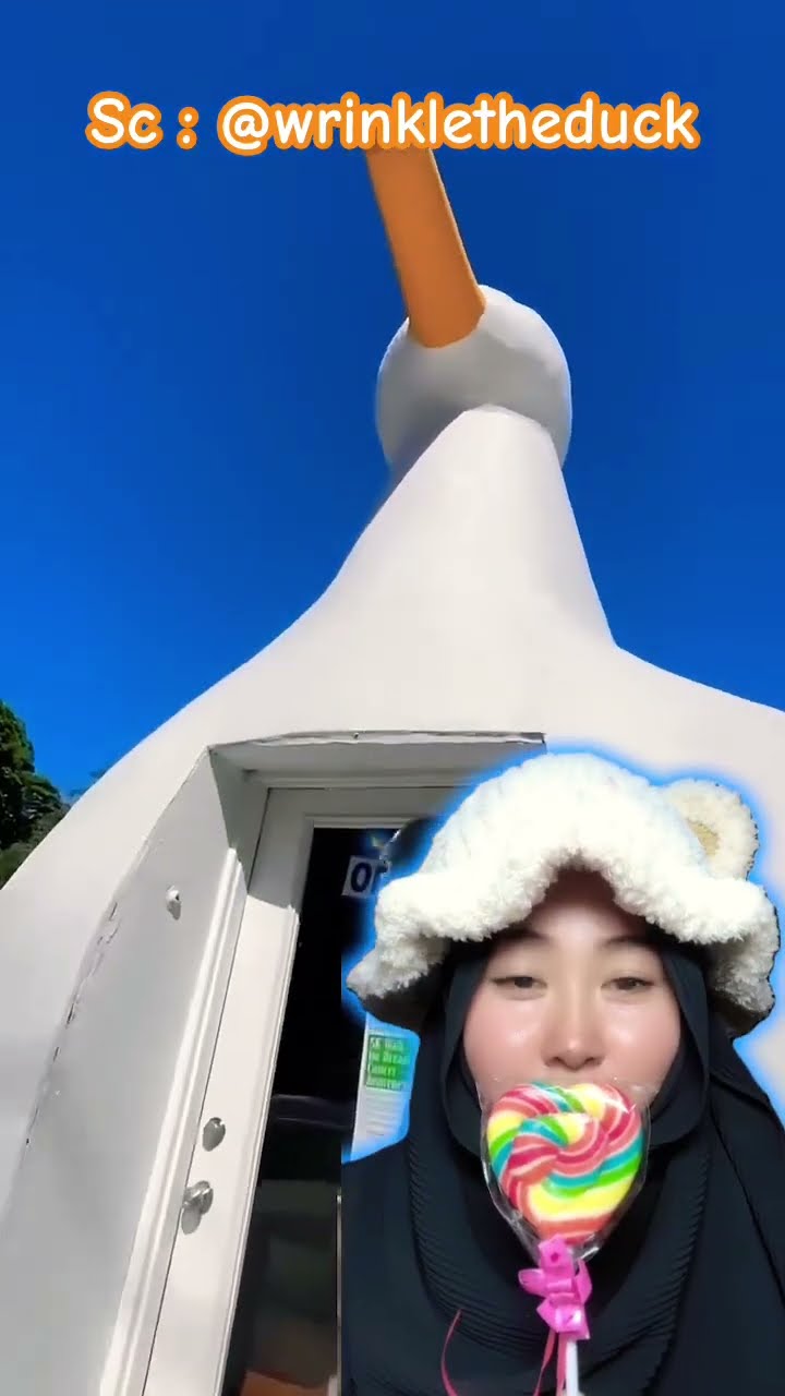 ?? RUMAH ANGSA CUTE ⁉️??  @wrinkletheduck #shorts #funny #dubbing