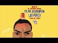 Ele A El Dominio - Se Me Acabaron Las Percos 🤬 (Prod: Yecko & Josh D