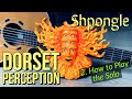 Shpongle - Dorset Perception 2- How to Play the Guitar Solo | Pete Callard