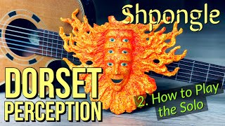 Shpongle - Dorset Perception 2- How to Play the Guitar Solo | Pete Callard