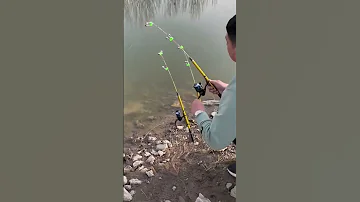 Machhali Pakdane Ka Sabse Aasan Tarika Viralvideo Short Video Shortsfeed Fish 