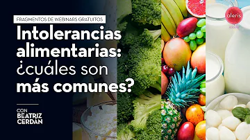 ¿Cuáles son las 3 intolerancias alimentarias más comunes?