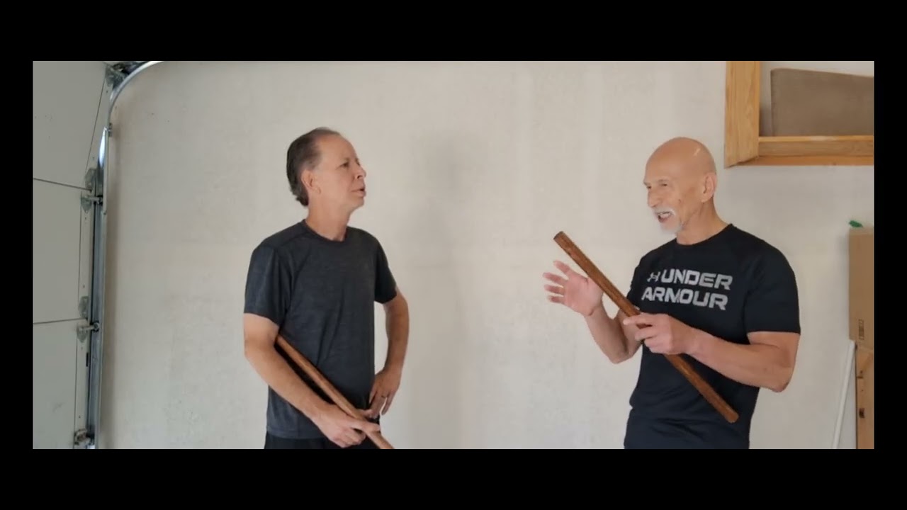 Wing Chun Kung Fu Defanging The Snake