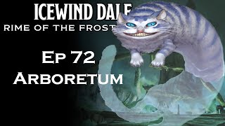 Arboretum  Ep 72  Icewind Dale: Rime of the Frostmaiden