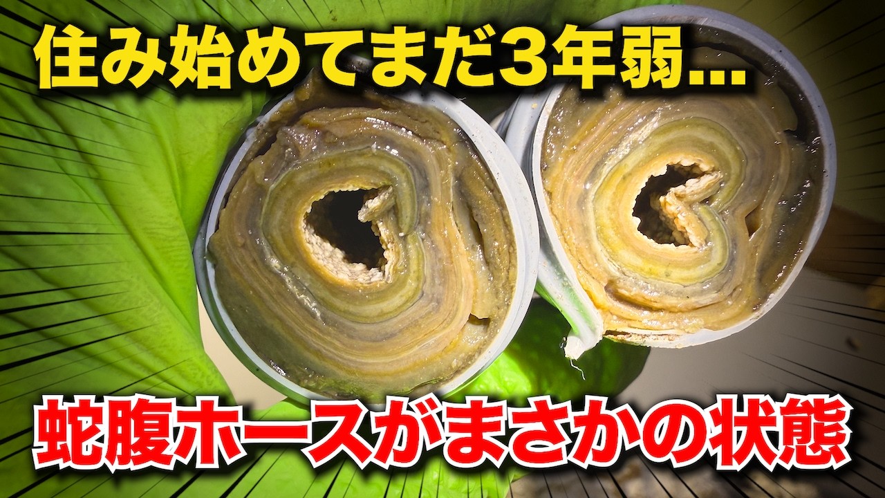 住んで3年弱なのに…蛇腹ホースの中が地獄だった！管の中は油が溜まりやすい状態に？【花のお掃除 #446】