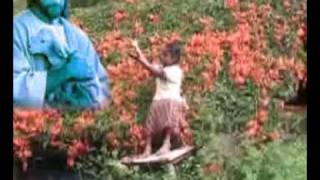 ஆயன் இயேசு / Aayan Yesu