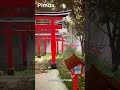 Torii in VR | Pimax Dream Air Through The Lens
