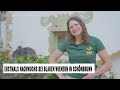 Nachwuchs-Sensation im Zoo Schönbrunn