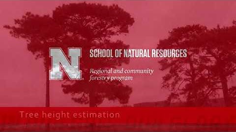 Tree measurements: Height via clinometer