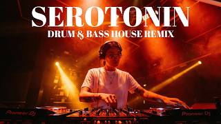 SEROTONIN 🔥 | James Hype Style House Music 2026