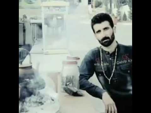 Saman Gryana سامان گریانەی Saman Gryana سامان گریانەی