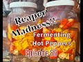 Ferment This!! Reaper Madness!! (Episode 86)