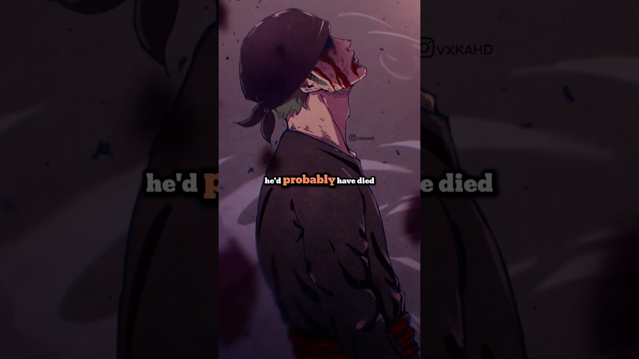 Why ZORO didn't take Oden's second sword.