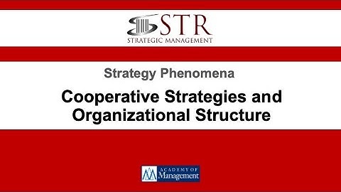 STR Virtual Symposium: Cooperative Strategies and Organizational Structure