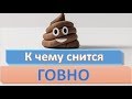 К чему снится ГОВНО ФЕКАЛИИ КАКАШКИ СОННИК К чему снится ГОВНО ФЕКАЛИИ КАКАШКИ СОННИК