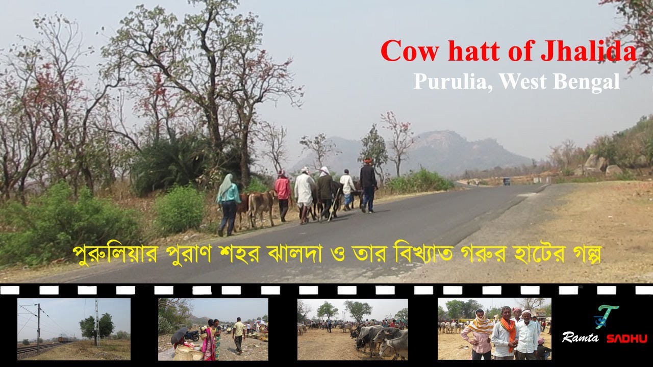 Old city Jhalda/Cowhatt/purulia/ঝালদার বিচিত্র গরুর হাটের গল্প /West Bengal