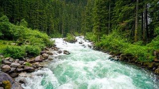 River Sounds for Sleeping | 4 Hours - Nature Relaxation Lounge