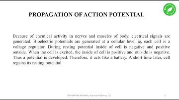EE 372|BIOMECICAL INSTRUMENTATION | S6 EEE | MODULE 1 | PROPOGATION OF ACTION POTENTIAL |