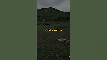 #قرآن #صلوا_على_النبي #قران_الكريم #تلاوة_خاشعة #تلاوة_هادئة