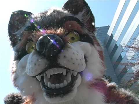 rotten egg smell in house Rogue On The Spot Furry Connection North 2010 rock the 1980s