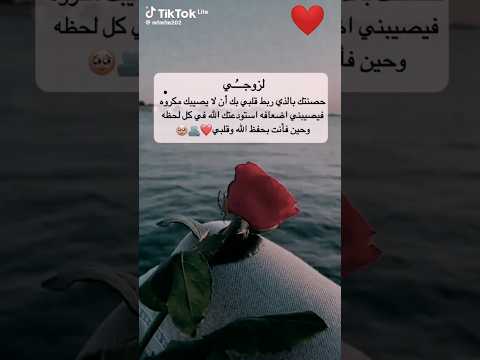 زوجي انت سندي حبيبي اخي ابي عزوتي