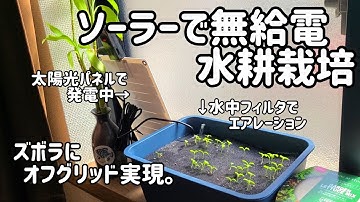 太陽光(ソーラー)パネルで無給電の無限水耕栽培始めました。オフグリッドを目指して