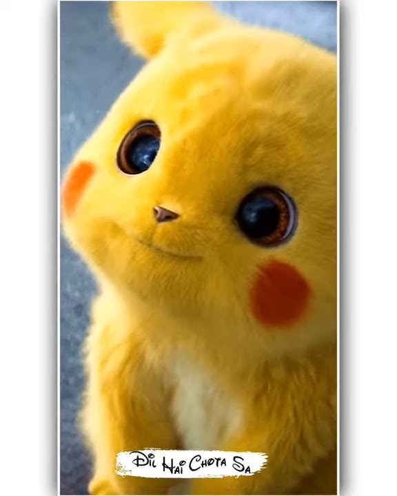 Dil hai chota sa whatsapp status lyrical