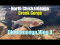 North Chickamauga Creek Gorge. Chattanooga Vlog 4