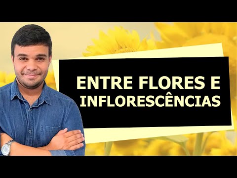 Vídeo: Em qual inflorescência as flores são produzidas na ordem basípeta?