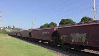 BNSF 8208 Leads An Empty Grain Train @ Old Town Tacoma, WA 4K