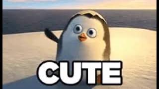 cute penguin hi - gif to video