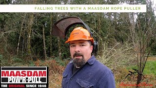 Tree Falling on the Homestead | Rope A-long | Maasdam Pow'R Pull by Ravenwood Acres 85 views 4 months ago 8 minutes, 53 seconds