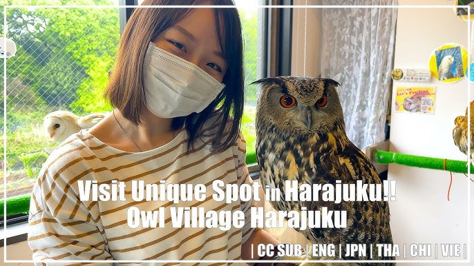 Owl Cafe Osaka - It's a hoot!