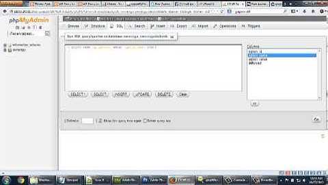 Delete Transient From WP OPTIONS
