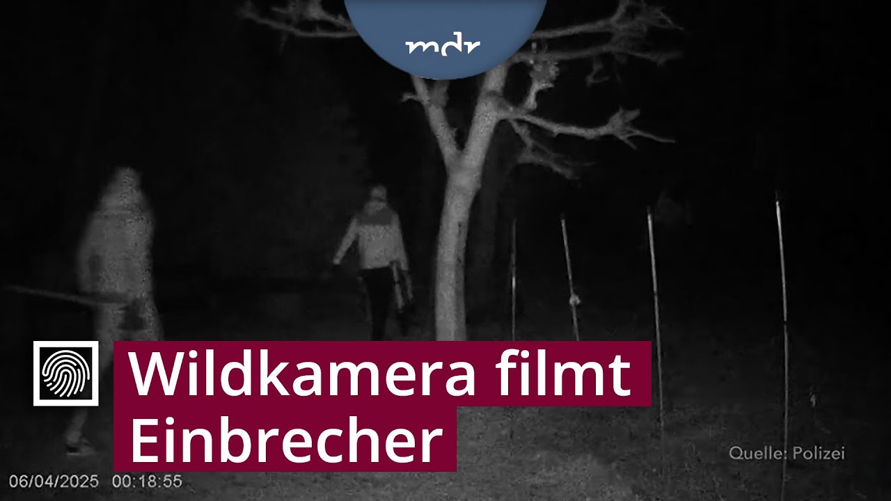 Einbrecher knacken Tresor in Supermarkt im Wartburgkreis | Kripo live | MDR