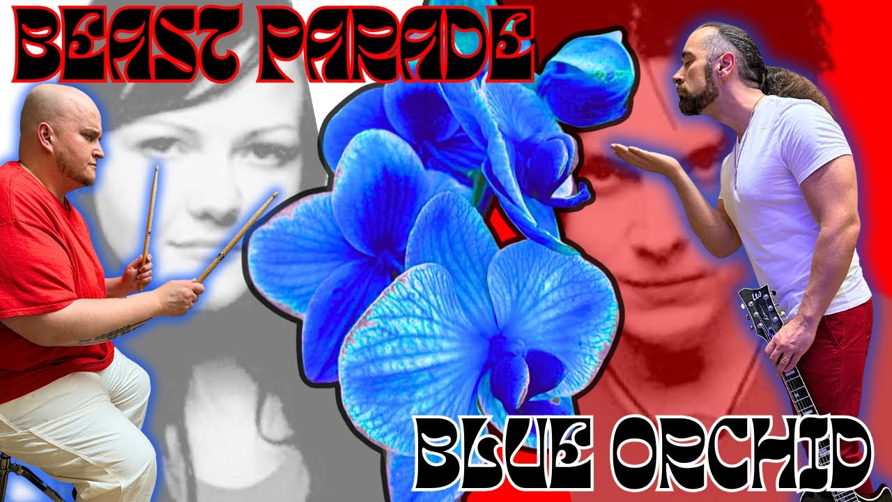 Beast Parade Release a cover of "Blue Orchid"