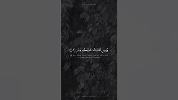 القارئ عبدالله الموسى {فَقُلْتُ اسْتَغْفِرُوا رَبَّكُمْ إِنَّهُ كَانَ غَفَّارًا}