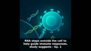 RNA and Immune System — Extracellular Signals in Cancer Defense