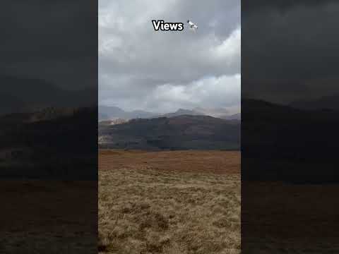 ASTONISHING VIEWS from Latterbarrow #lakedistrict #wainwrights #cumbria #windermere #hiking #trek