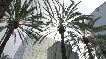 Zhiyun Crane | Test footage using GH4 with G series 12-35mm