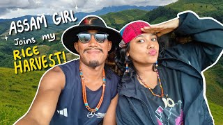 I Took My Guest from Assam to My Farm for Rice Harvesting 🌾 ll Nagaland ll Konyak tribe