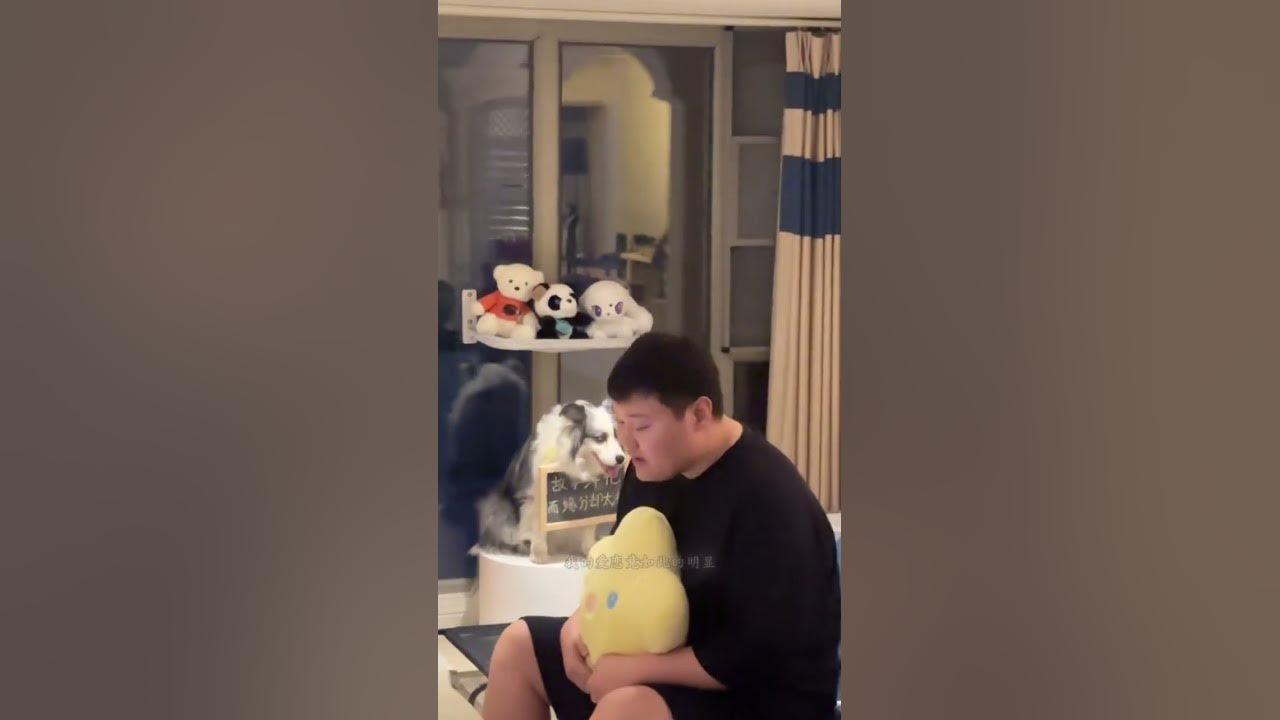 你居然不爱我了#云裳羽衣曲 #周深 #你居然不爱我了 你居然不爱我了#云裳羽衣曲 #周深 #你居然不爱我了