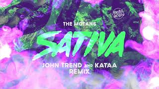 The Motans -  Sativa (John Trend &amp; Kataa Remix)