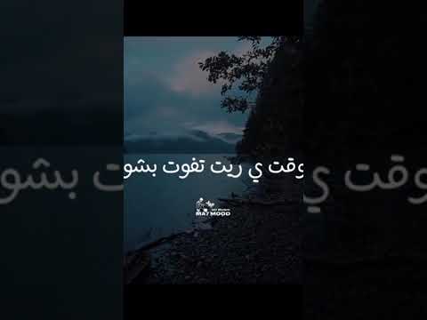 مش بس حبيب دا توأم روح