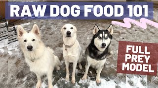 Hello! today’s video is less of a v-log, more-so informational. we
often get questions about our raw dog food (raw diet for dogs), so
here an entire ...